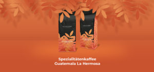 Spezialitätenkaffee Guatemala La Hermosa