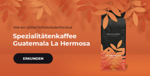 Spezialitätenkaffee Guatemala La Hermosa