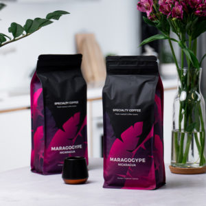 Spezialitätenkaffee Nicaragua Maragogype