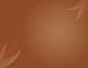 "Brazil Santa Luzia Kaffee–Sets"